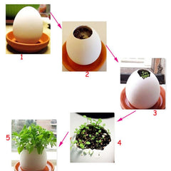 Mini Desktop Pot Eggs Shape Mini Desktop Pot Eggs Shape