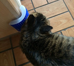 Cat Self-Grooming Brush Cat Self-Grooming Brush