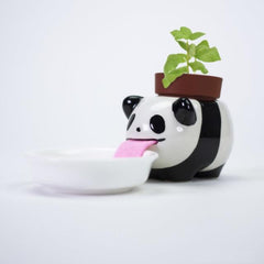 Cute Desktop Self Watering Pot With Animal Tongue For Animal Lovers Cute Desktop Self Watering Pot With Animal Tongue For Animal Lovers