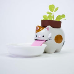 Cute Desktop Self Watering Pot With Animal Tongue For Animal Lovers Cute Desktop Self Watering Pot With Animal Tongue For Animal Lovers