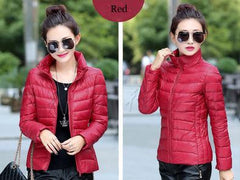 Women's Aconcagua  Jacket