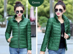 Women's Aconcagua  Jacket