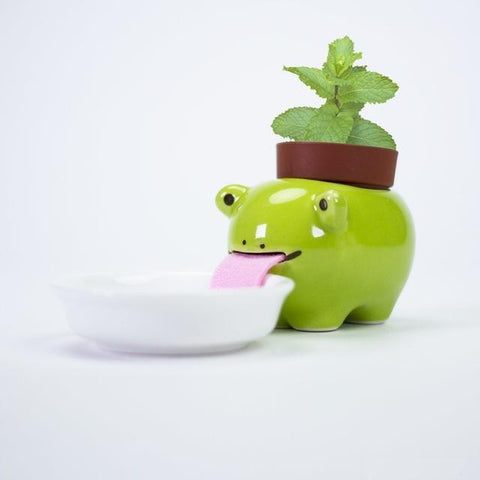 Cute Desktop Self Watering Pot With Animal Tongue For Animal Lovers